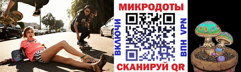 Купить  Новохопёрск  Галлюциногенные грибы Psilocybine cubensis 